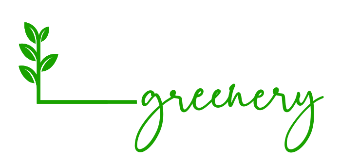Backyard Greenery